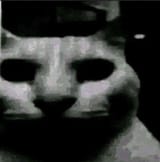 1735957788832925