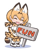 fun allowed