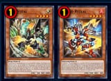 1748033980242509