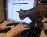 1743580273809822
