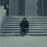 gosling in the snow