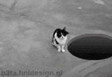 1349540359831