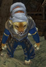 huhcat
