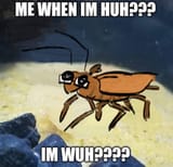 Gregor wuh