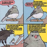 s8ogs8q3jfgf1
