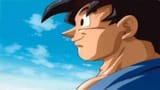 Goku Contemplate