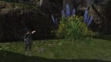 ffxiv_dx11 2025-08-04 11-09-52