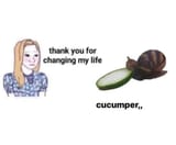 rypple