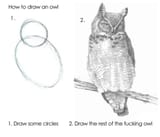 draw some circles