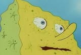 spong