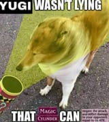 1736382099990480