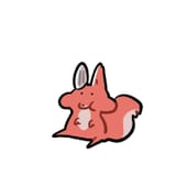 Hehe pinus