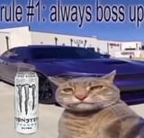 1743194477168