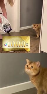20250804_123544