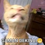 Gr7cCzEW0AA8qY7