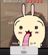 1000011626