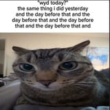 GvCUXrJWgAArf3L