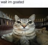 GxHXBe8bYAAKnjR