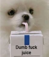 dumb fuck juice dog