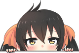 risa_stare