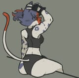 cate underwear