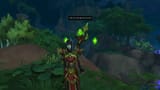 WoWScrnShot