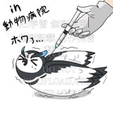 Gw2YSjqbkAAsAkA
