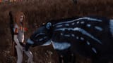 montepumbaa