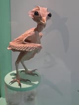 1746198612987549