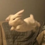 GwJLVgqXsAITCTY