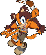 Sonic_Channel_Sticks