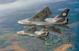 raf_t_004800-sm