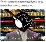 456