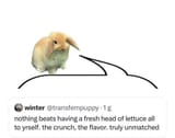 1725938197087974