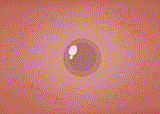 Impregnation Love