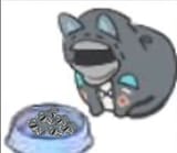 1746050071393517