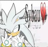 SIlversybau