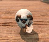 Shep Gun