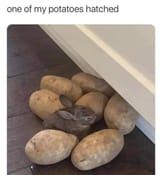 1742553673220002