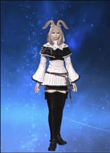 brabbit