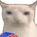 1754376451456600