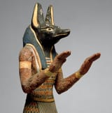 anubis