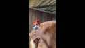 75185404768ad0f0afd1a30fa6780d86_thumb.jpg