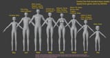 model types