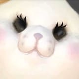1743156347483232