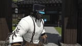 hat