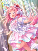 tex_support_card_30098