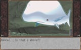 That&#039;s no whale