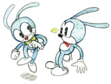Rabbit