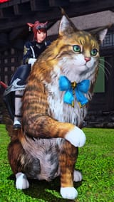 ffxiv_dx11_2025-08-05_13-17-17_008